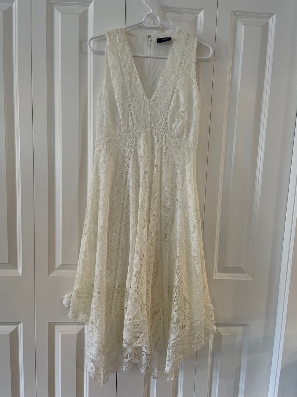 Just...Taylor Cream Lace Fit-and-Flare V-Neck Dress